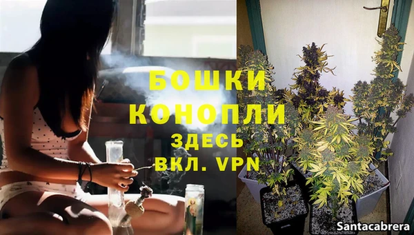 эйфоретик Инсар
