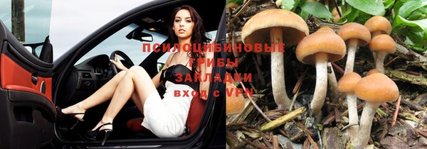 ешки Зеленокумск
