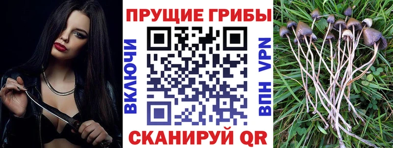 Купить  Цоци-Юрт  Галлюциногенные грибы ЛСД 